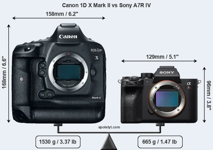 Size Canon 1D X Mark II vs Sony A7R IV