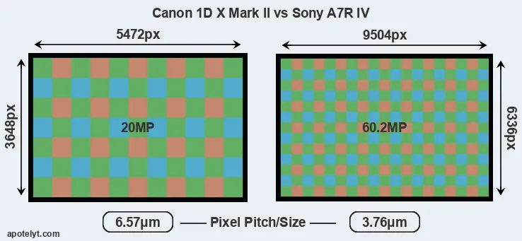 1DX Mark II versus A7R IV MP