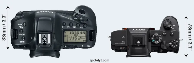 Compare 1DX Mark II versus A7R IV top