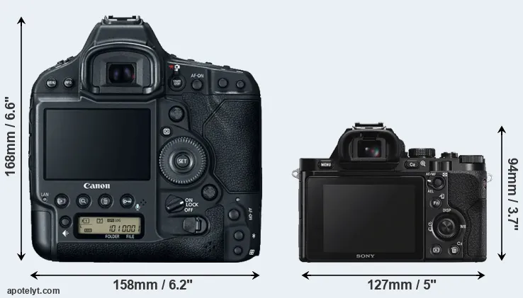 Comparison 1DX Mark II or A7S rear