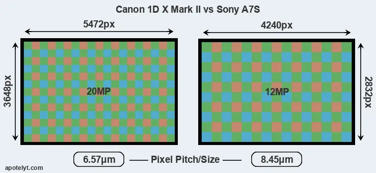 1DX Mark II versus A7S MP