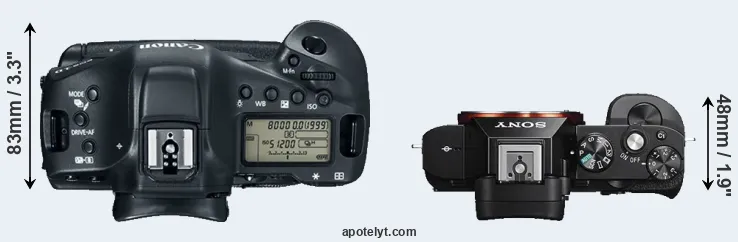 Compare 1DX Mark II versus A7S top