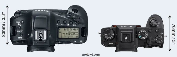 Compare 1DX Mark II versus A9 II top