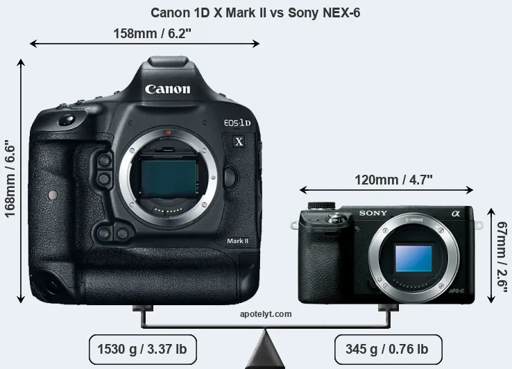 Size Canon 1D X Mark II vs Sony NEX-6