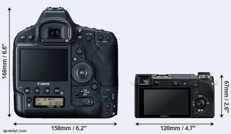 Comparison 1DX Mark II or NEX-6 rear