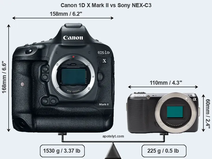 Size Canon 1D X Mark II vs Sony NEX-C3