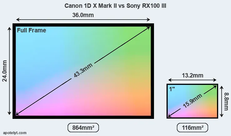 Canon 1D X Mark II and Sony RX100 III sensor measures