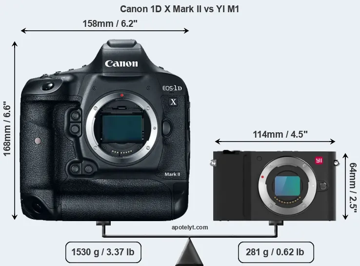 Size Canon 1D X Mark II vs YI M1