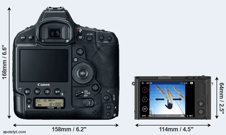 Comparison 1DX Mark II or M1 rear