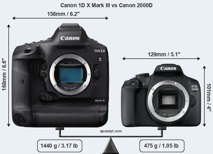 Size Canon 1D X Mark III vs Canon 2000D