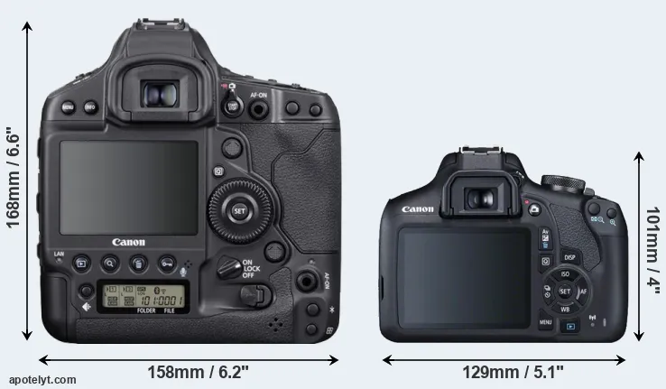 Comparison 1DX Mark III or 2000D rear