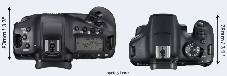 Compare 1DX Mark III versus 2000D top