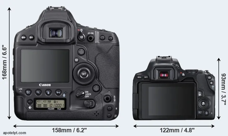 Comparison 1DX Mark III or 250D rear