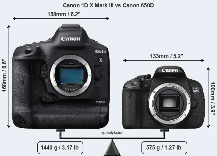 Size Canon 1D X Mark III vs Canon 650D