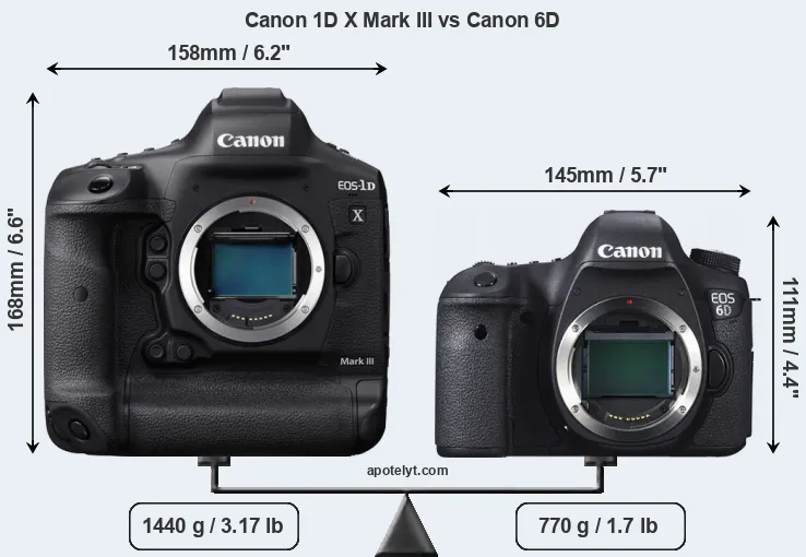 Size Canon 1D X Mark III vs Canon 6D