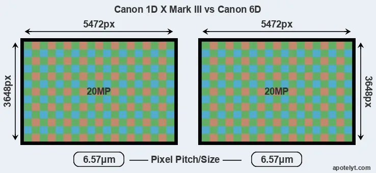 1DX Mark III versus 6D MP