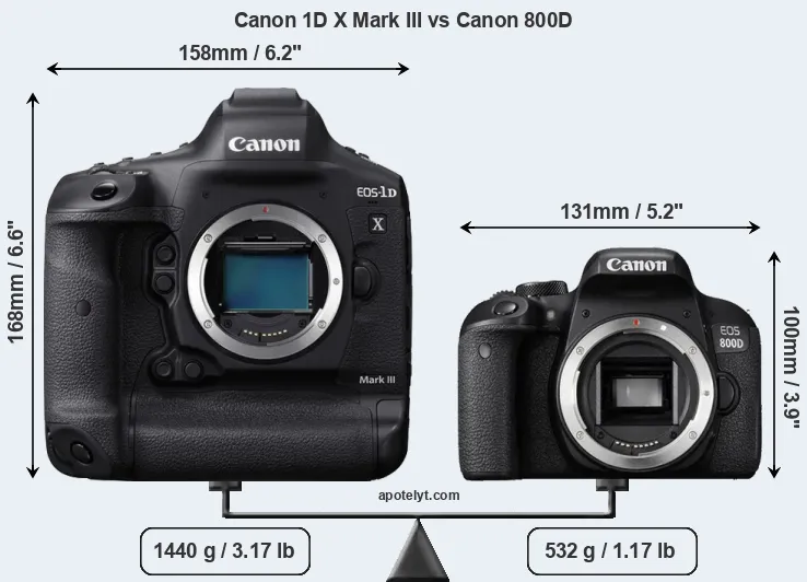 Size Canon 1D X Mark III vs Canon 800D