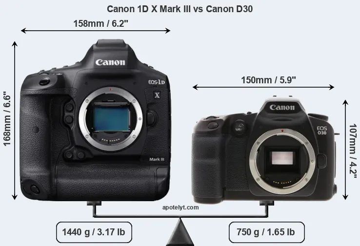Size Canon 1D X Mark III vs Canon D30