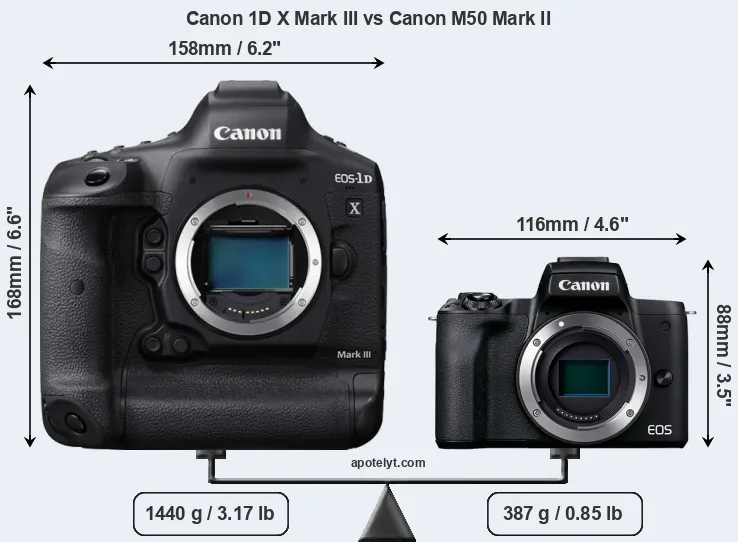 Size Canon 1D X Mark III vs Canon M50 Mark II