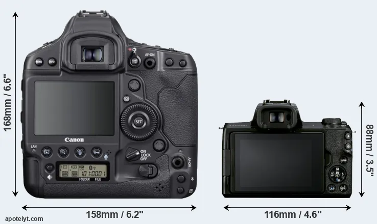 Comparison 1DX Mark III or M50 Mark II rear