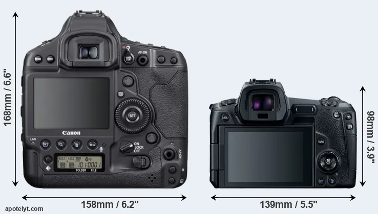 Comparison 1DX Mark III or Canon R rear