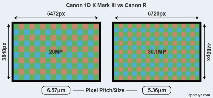 1DX Mark III versus Canon R MP