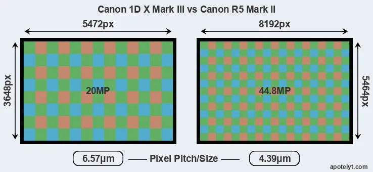 1DX Mark III versus R5 Mark II MP