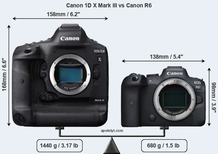 Size Canon 1D X Mark III vs Canon R6