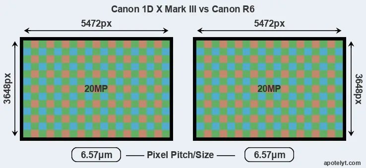 1DX Mark III versus R6 MP