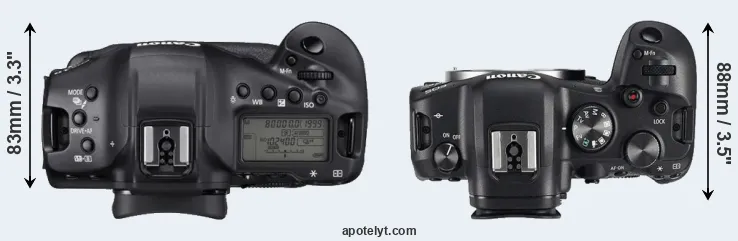 Compare 1DX Mark III versus R6 top