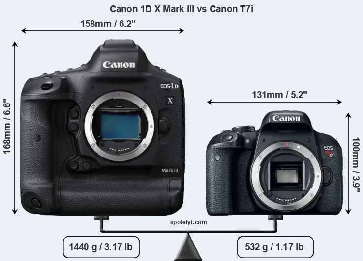 Size Canon 1D X Mark III vs Canon T7i