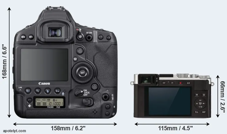 Comparison 1DX Mark III or D-LUX 7 rear
