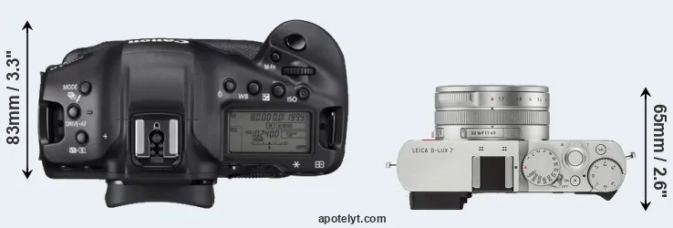 Compare 1DX Mark III versus D-LUX 7 top