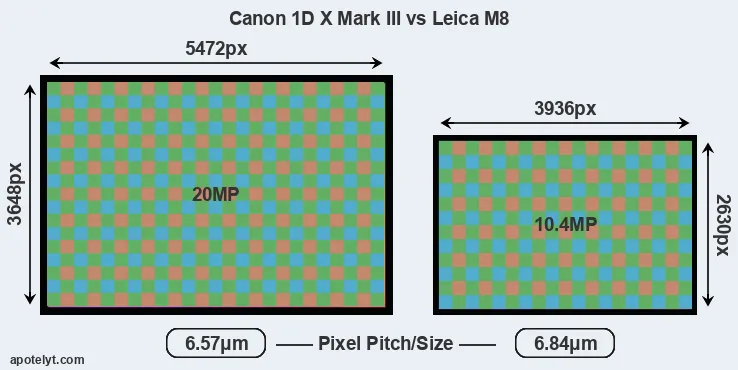 1DX Mark III versus M8 MP