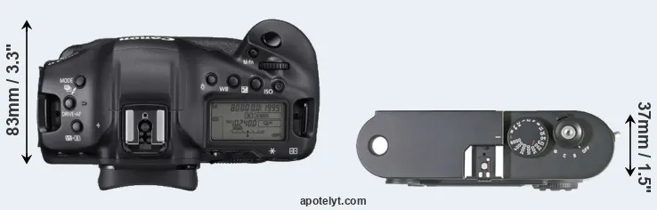 Compare 1DX Mark III versus M8 top