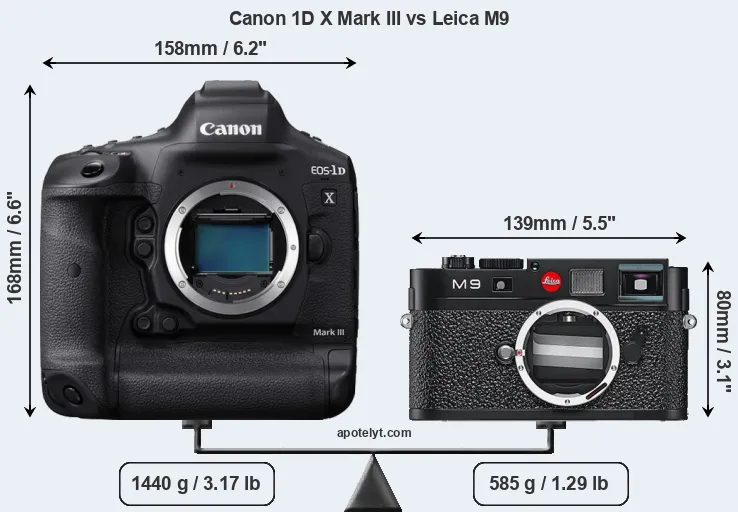 Size Canon 1D X Mark III vs Leica M9