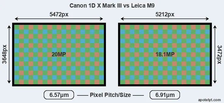 1DX Mark III versus M9 MP