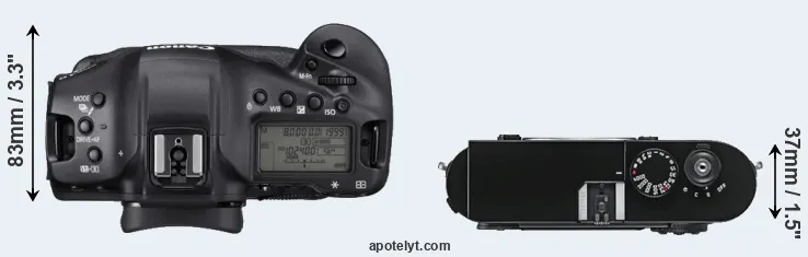 Compare 1DX Mark III versus M9 top