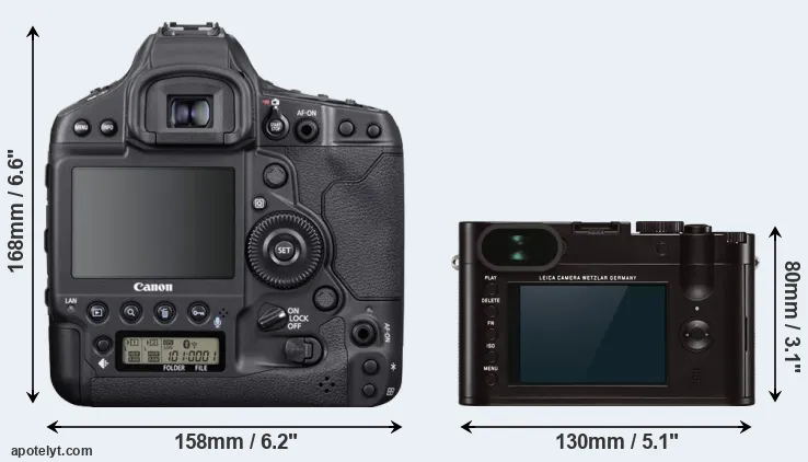 Comparison 1DX Mark III or Q Typ 116 rear