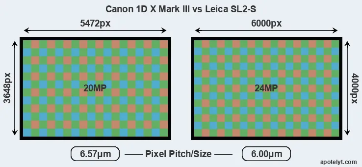 1DX Mark III versus Leica SL2-S MP