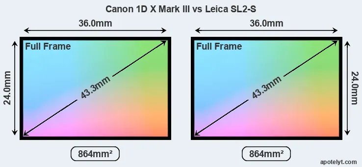 Canon 1D X Mark III and Leica SL2-S sensor measures