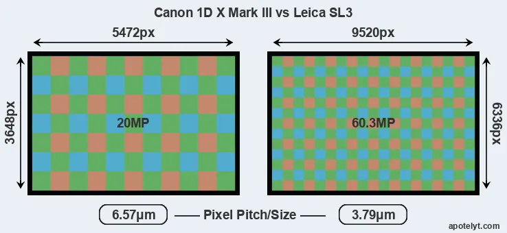 1DX Mark III versus Leica SL3 MP