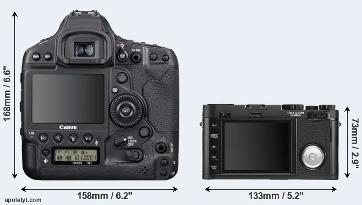 Comparison 1DX Mark III or X Vario rear