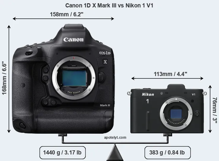 Size Canon 1D X Mark III vs Nikon 1 V1