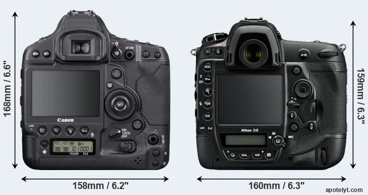 Comparison 1DX Mark III or D5 rear