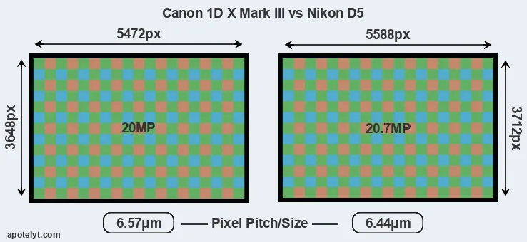 1DX Mark III versus D5 MP