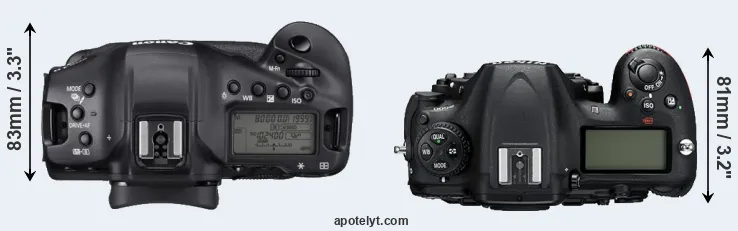 Compare 1DX Mark III versus D500 top