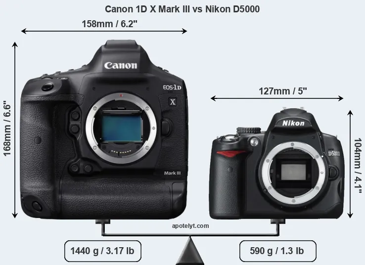 Size Canon 1D X Mark III vs Nikon D5000