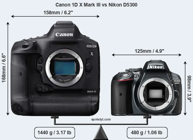 Size Canon 1D X Mark III vs Nikon D5300