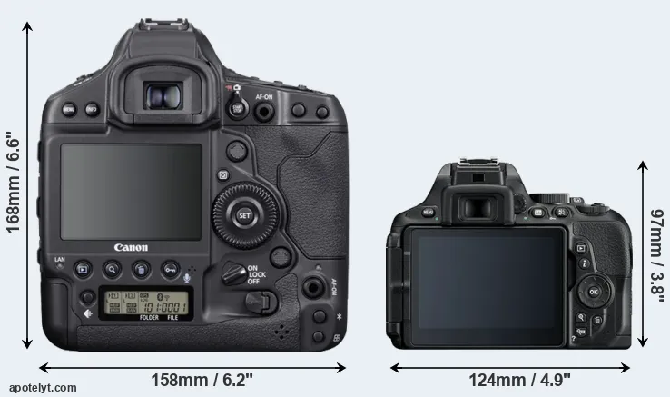 Comparison 1DX Mark III or D5600 rear